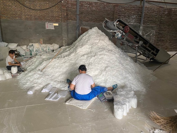 聚丙烯短纖維